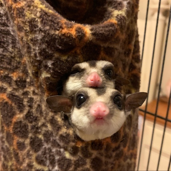 Hi! - Picture 2 of 2